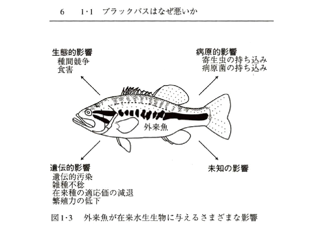 20121101-1.jpg