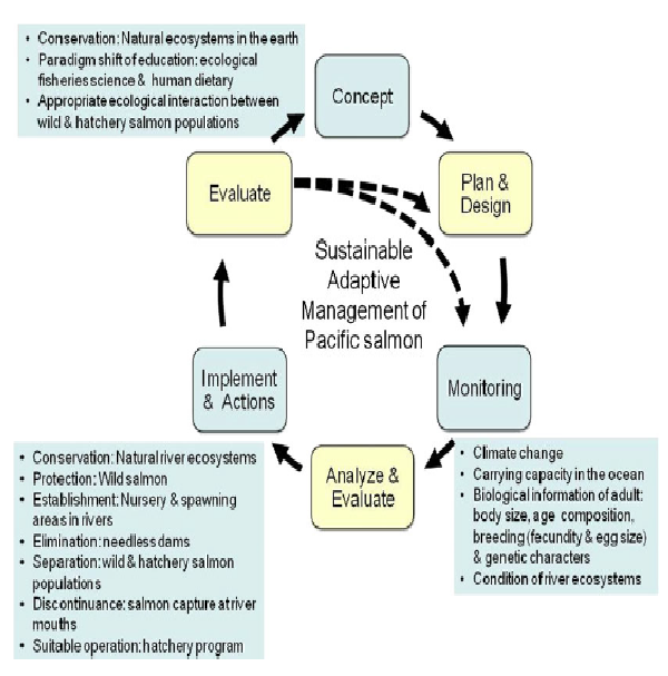 20130218adaptive_management.png