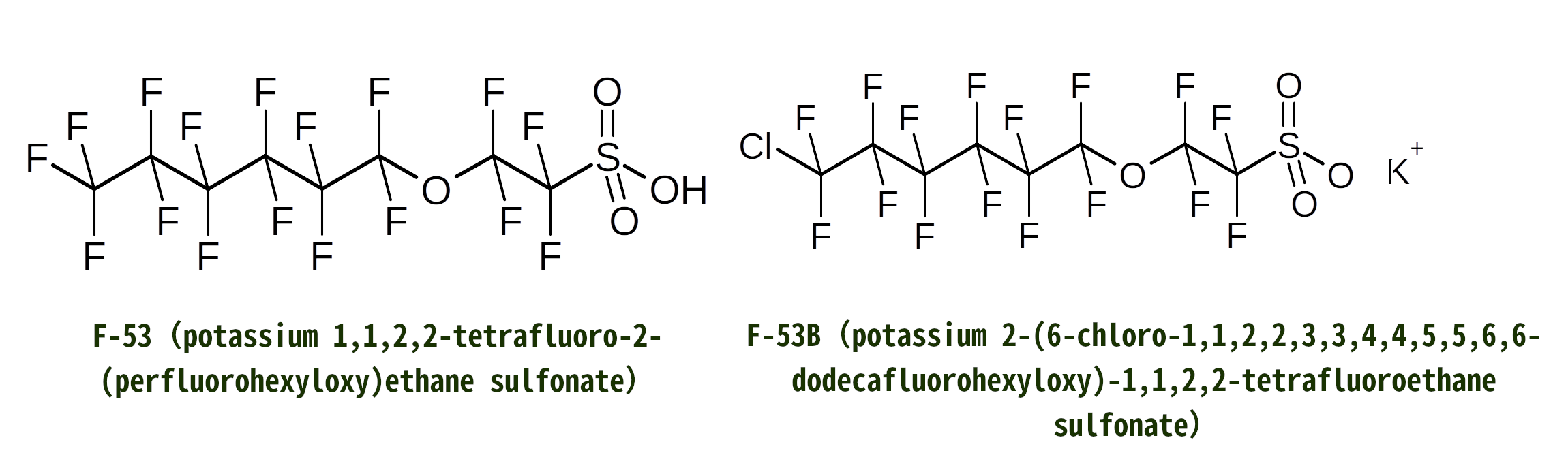 20241104-f53andf53b.png