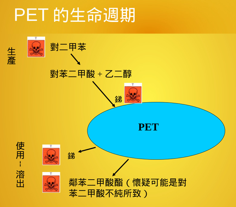 pet-lifecycle.jpg