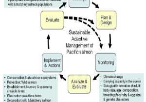 20130218adaptive_management