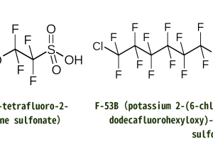 20241104-f53andf53B.png