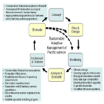 20130218adaptive_management